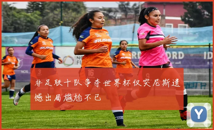 非足联十队争夺世界杯仅突尼斯遗憾出局尴尬不已