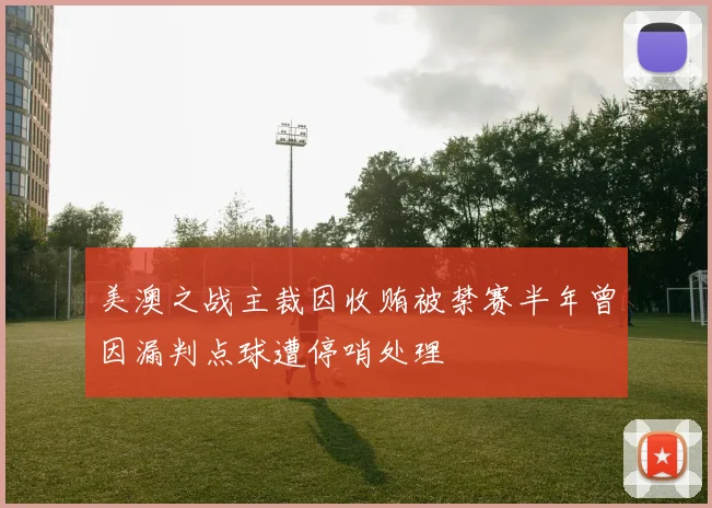美澳之战主裁因收贿被禁赛半年曾因漏判点球遭停哨处理