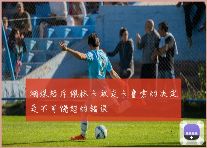 湖媒怒斥佩林卡放走卡鲁索的决定是不可饶恕的错误